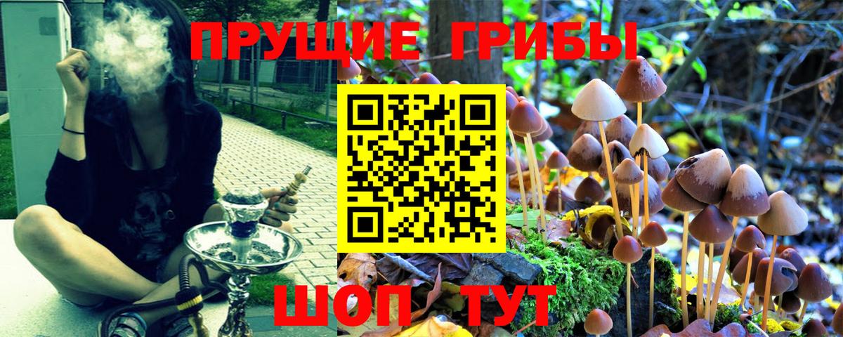 Галлюциногенные грибы мухоморы  Галлюциногенные грибы Cubensis  Вход с VPN  Осинники 