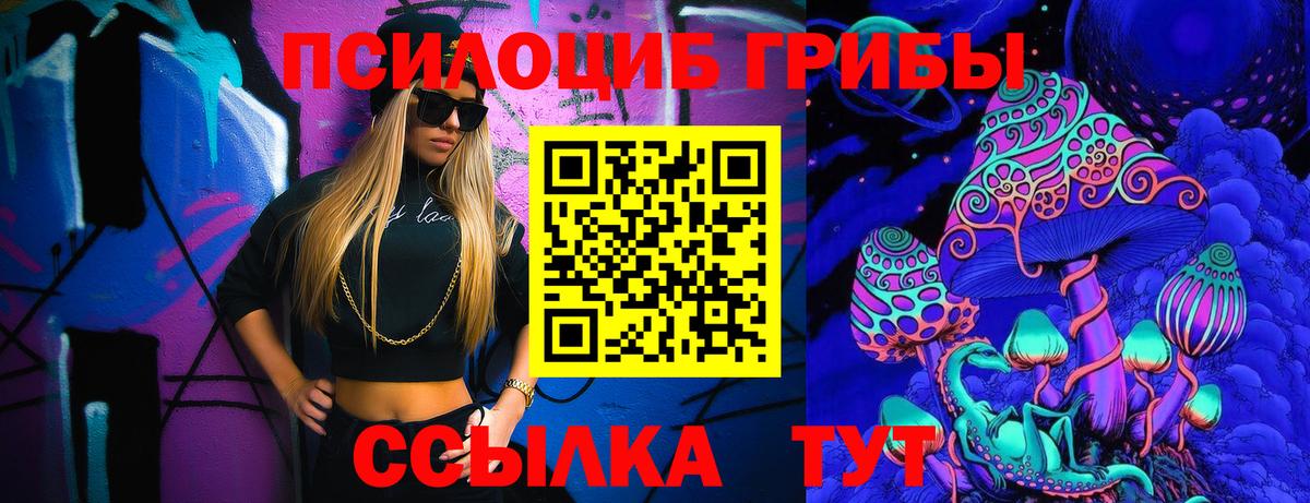 Галлюциногенные грибы Psilocybine cubensis Осинники